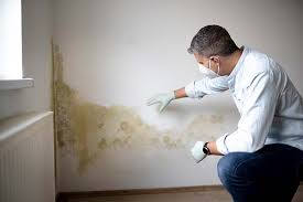 Best Post-Construction Mold Inspection  in Swanton, OH